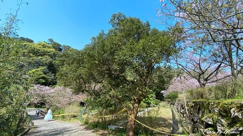 0315 平菁街93巷15.jpg