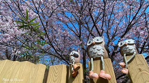 0315 平菁街93巷10.jpg