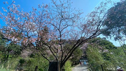 0315 平菁街93巷14.jpg