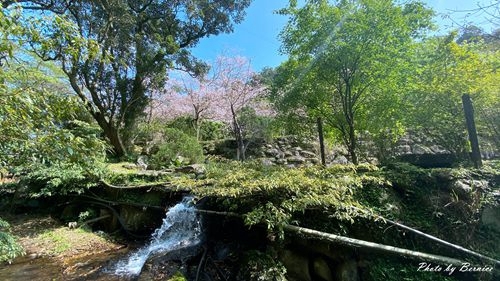 0315 平菁街93巷16.jpg