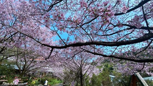 0315 平菁街93巷06.jpg