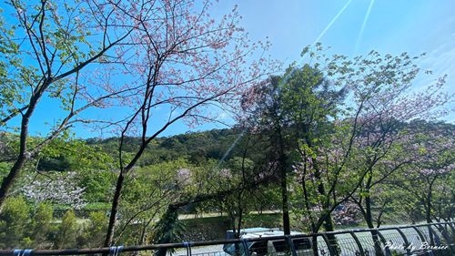 0315 平菁街93巷12.jpg