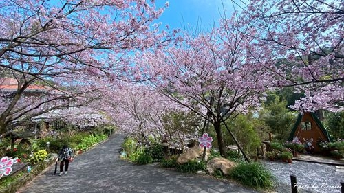 0315 平菁街93巷09.jpg