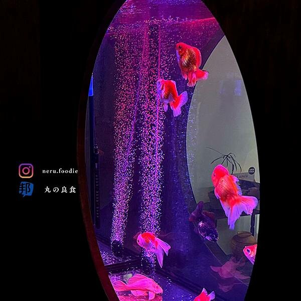 台北市南港區玉虫画室｜南港區氛圍咖啡廳推薦 @neru.foodie / 丸の良食