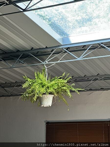 宜蘭縣東澳鄉-息坐珈琲