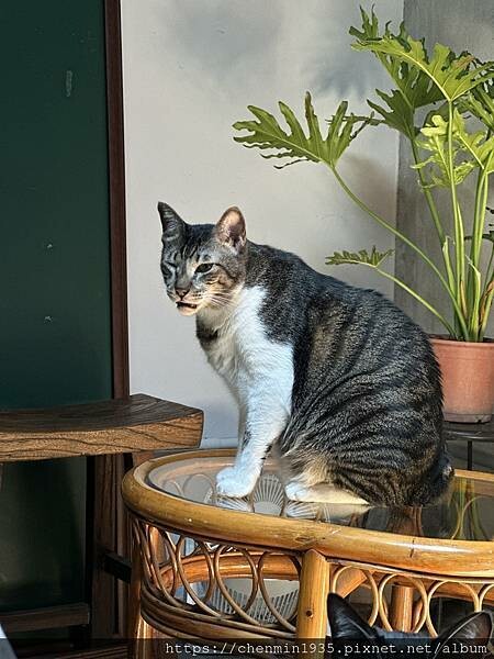 宜蘭縣東澳鄉-息坐珈琲