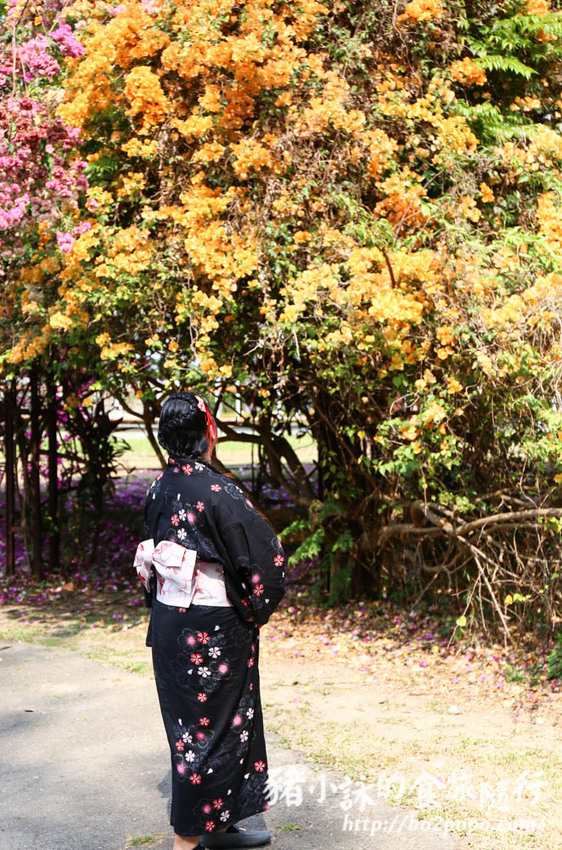 高雄。橋頭》橋頭糖廠喜福景李日服租穿。一秒變偽日本人 - 豬小詠的食旅隨行