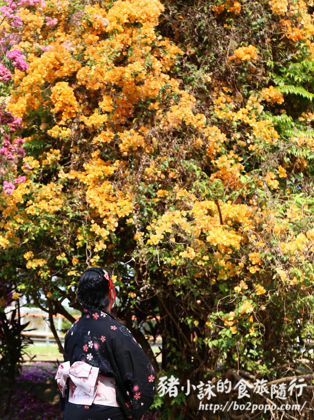 高雄。橋頭》橋頭糖廠喜福景李日服租穿。一秒變偽日本人 - 豬小詠的食旅隨行