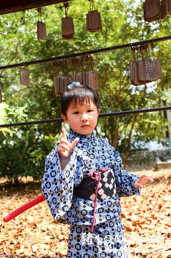 高雄。橋頭》橋頭糖廠喜福景李日服租穿。一秒變偽日本人 - 豬小詠的食旅隨行