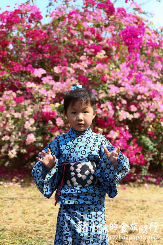 高雄。橋頭》橋頭糖廠喜福景李日服租穿。一秒變偽日本人 - 豬小詠的食旅隨行