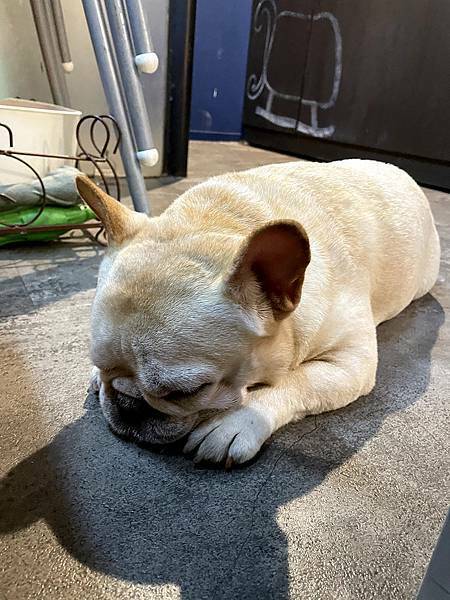 eat enjoy意享美式餐廳:店狗