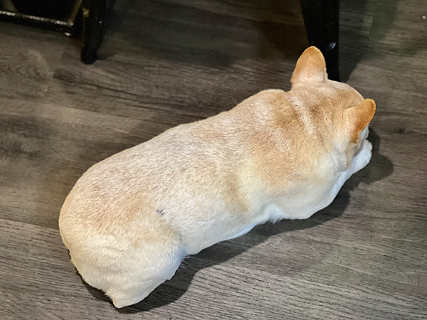 【新北新店美食】Eat Enjoy意享美式廚房 新店店 x 【新北新店美食】Eat Enjoy意享美式廚房 新店店 x