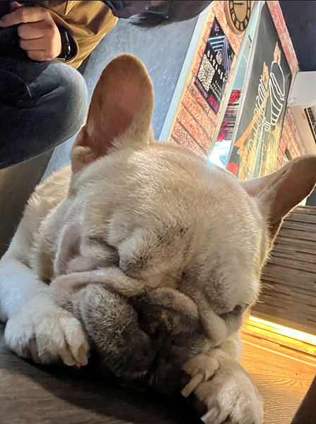 【新北新店美食】Eat Enjoy意享美式廚房 新店店 x 【新北新店美食】Eat Enjoy意享美式廚房 新店店 x