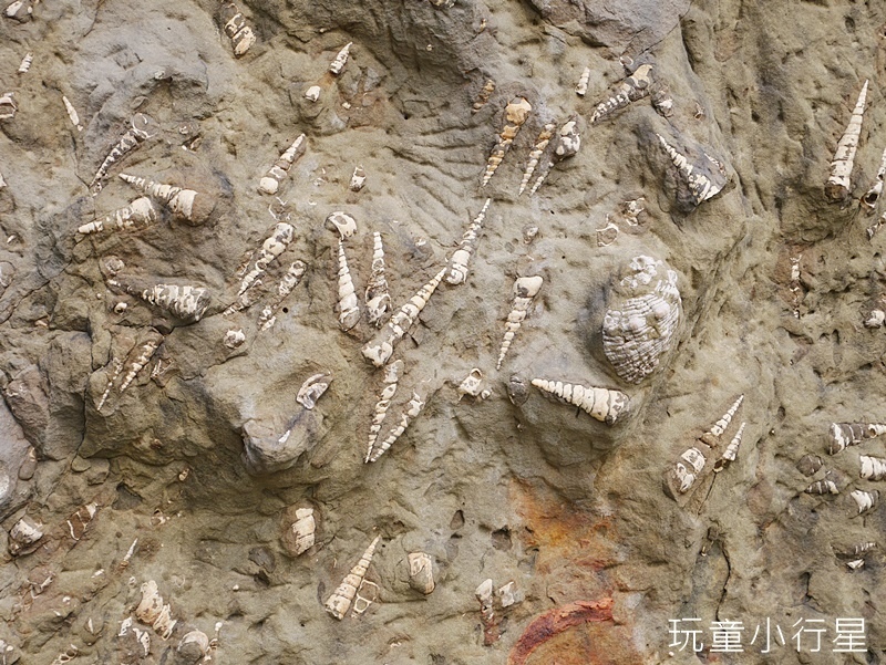 嘉義博物館4.JPG 嘉義博物館4.JPG