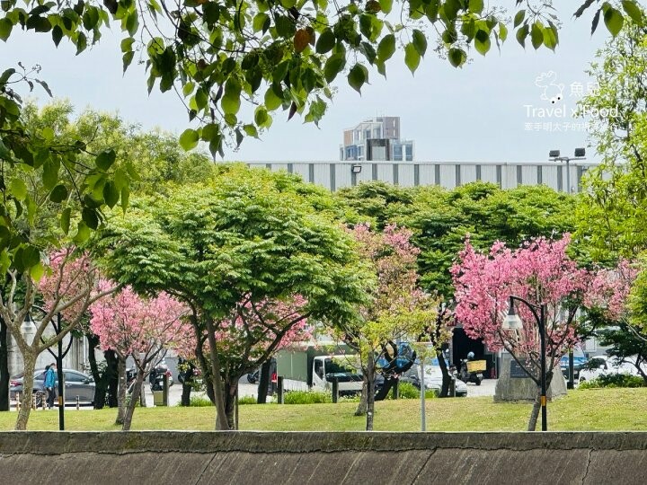 桃園巷弄美食。用家常療癒日常,一起來「飽餐一頓」吃牛肉麵吧! - 魚兒 x 牽手明太子的「視」界旅行