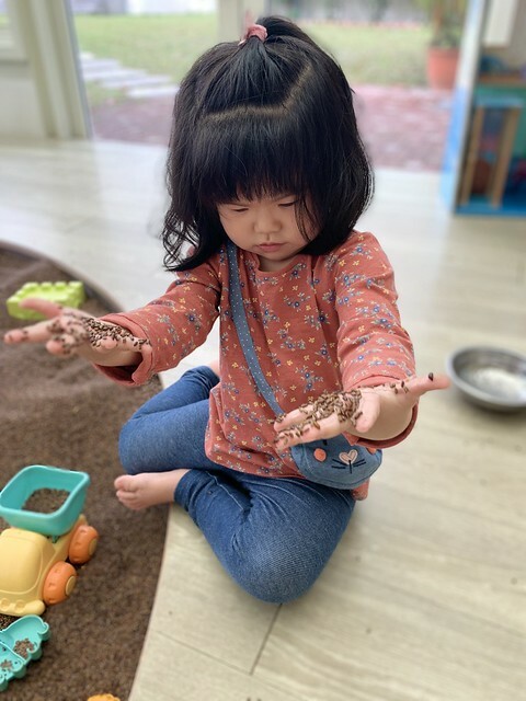 花蓮親子民宿推薦｜山丘洋房｜玻璃屋沙坑遊戲區、游泳池、溜滑梯房｜我喜歡的鄉村風，肯定會再回訪