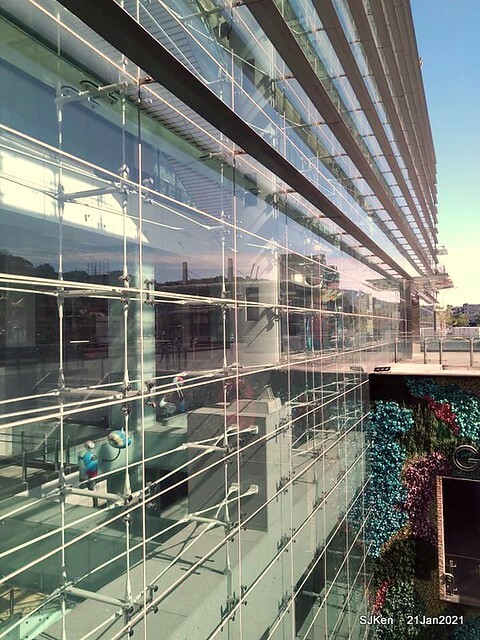 「六福客棧便當」(Leofoo Hotel lunch box), Taipei,Taiwan, SJKen, Jan 21, 2021.