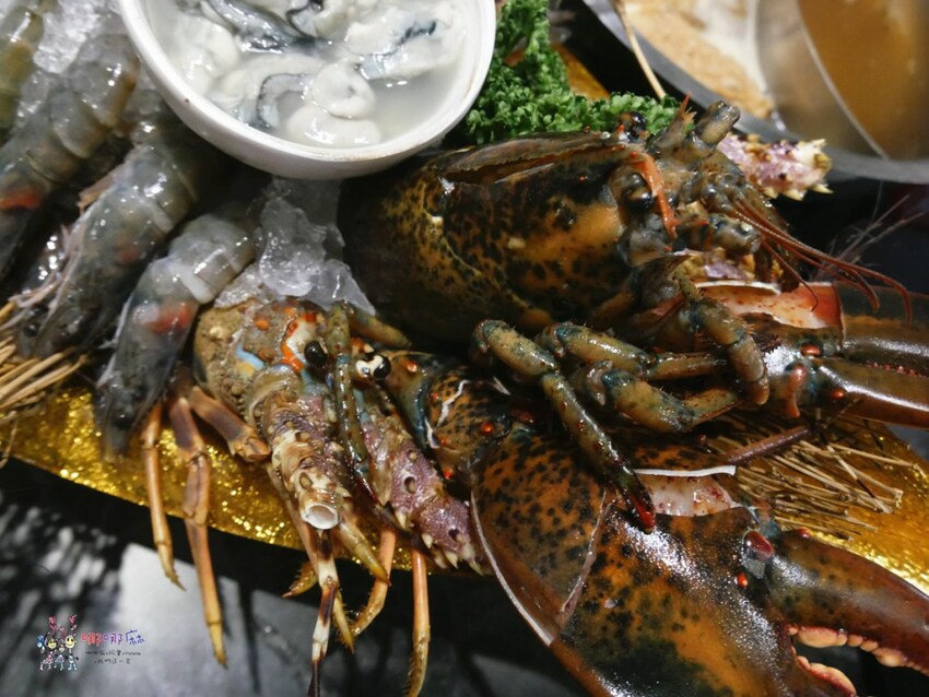 桃園南崁火鍋店進門先送一盤肉，還有自助吧免費吃到飽！壽喜牛飯豪好吃 | 哪哪麻