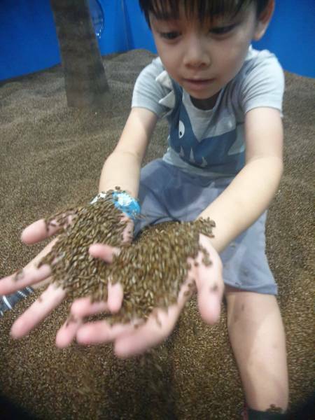 【嘉義|棒棒鯨奇樂園】全新開幕!位在嘉義太保,鄰近故宮南院,超大球池與刺激的90度溜滑梯! - 1個媽咪2個寶