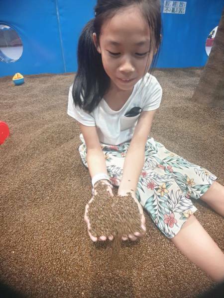 【嘉義|棒棒鯨奇樂園】全新開幕!位在嘉義太保,鄰近故宮南院,超大球池與刺激的90度溜滑梯! - 1個媽咪2個寶