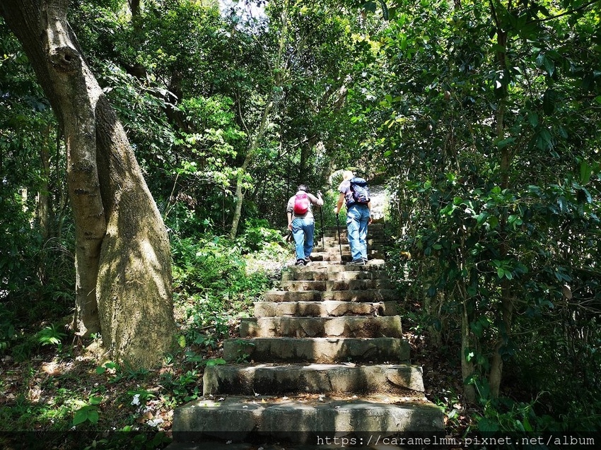 05 石階步道.jpg