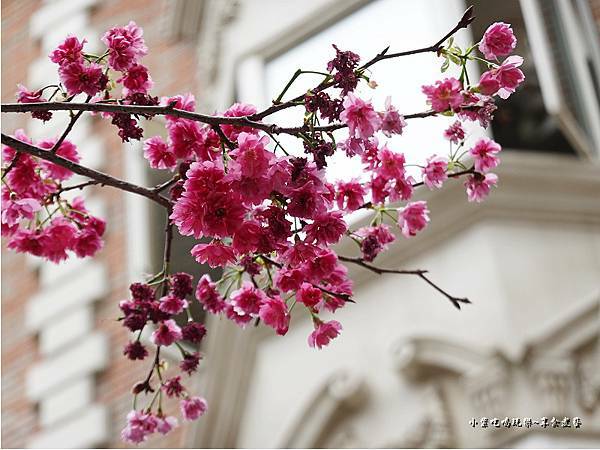 沙鹿-聚亭軒茶飲美食館 (8).jpg