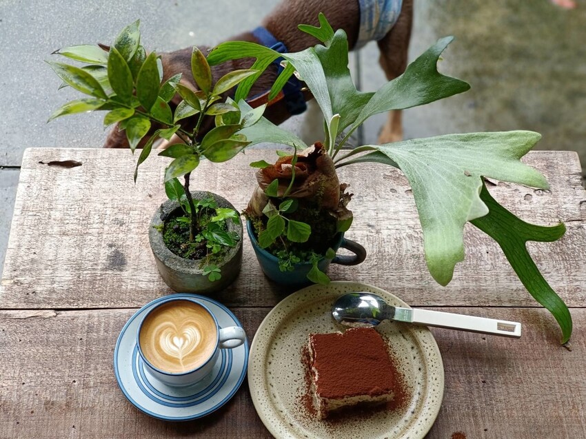 【台北.平溪】大華車站。與路咖啡寵物友善咖啡廳內有店狗。寧靜小鎮風光超悠閒午後時光