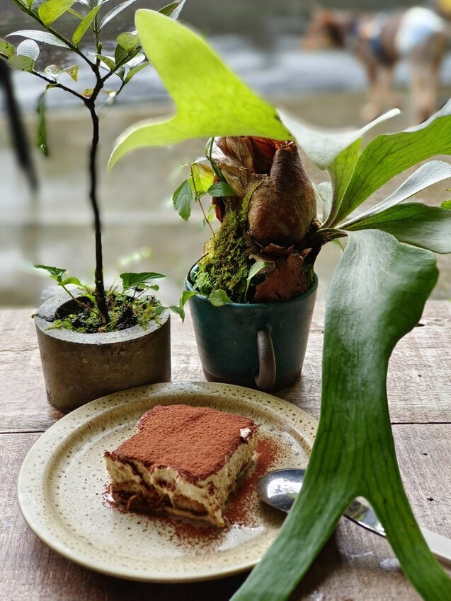 【台北.平溪】大華車站。與路咖啡寵物友善咖啡廳內有店狗。寧靜小鎮風光超悠閒午後時光