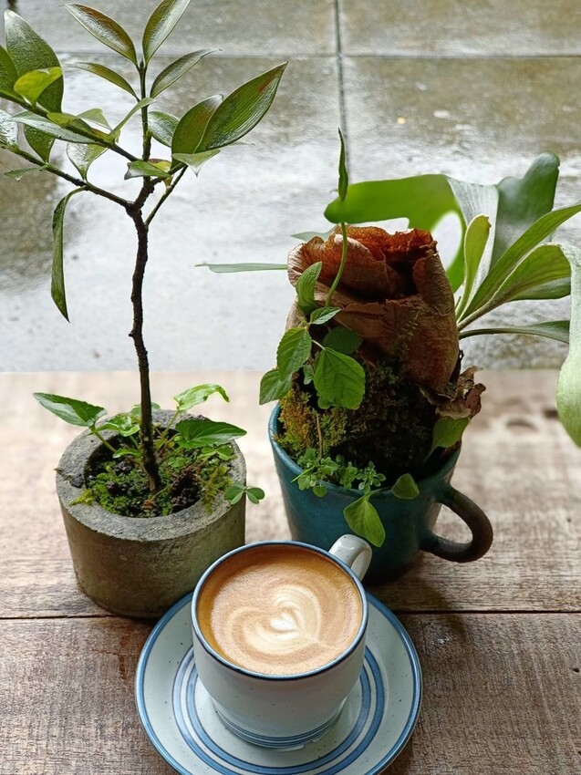 【台北.平溪】大華車站。與路咖啡寵物友善咖啡廳內有店狗。寧靜小鎮風光超悠閒午後時光