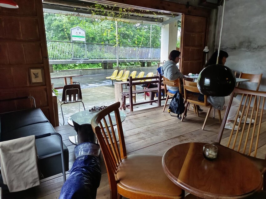 【台北.平溪】大華車站。與路咖啡寵物友善咖啡廳內有店狗。寧靜小鎮風光超悠閒午後時光