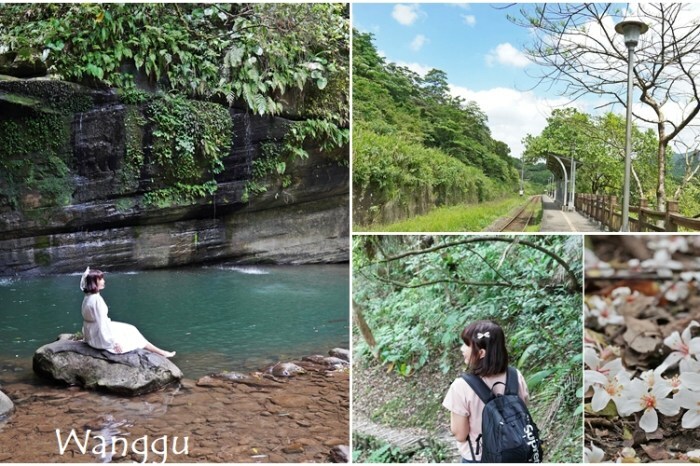 [ 林口 御壽司.揚物專門店]藏身火鍋店二樓的最美日料店 一秒走進日本場景 澎派系握壽司銅板價就可吃到 - 安妮的天空