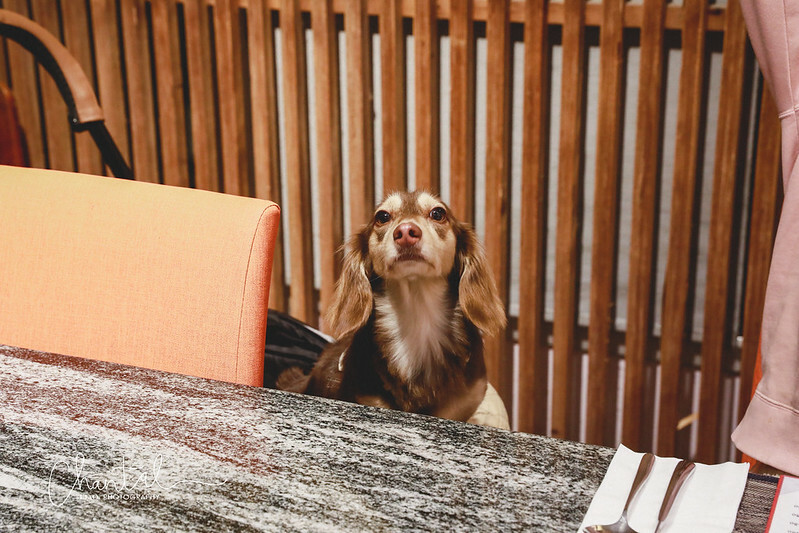 _J6A6637-2拷貝 拷貝