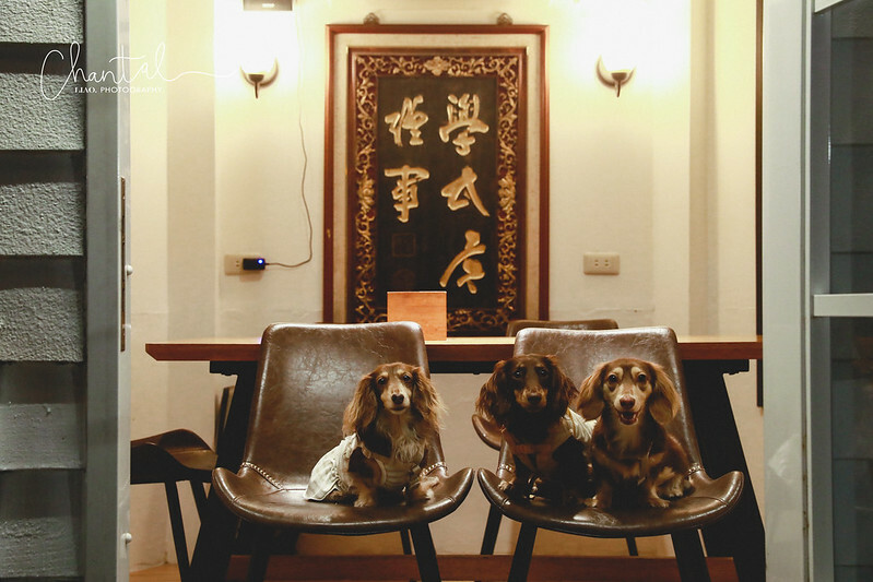 _J6A6949-2拷貝 拷貝