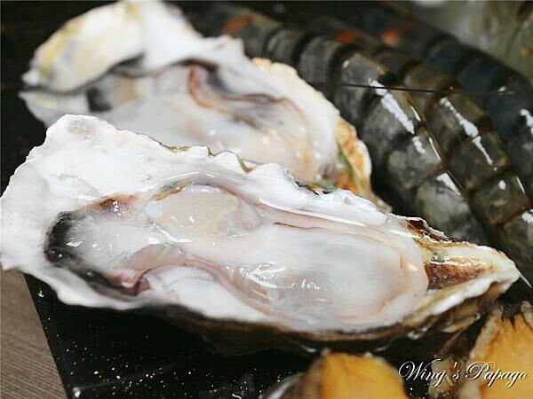 IMG_1224.jpg IMG_1224.jpg