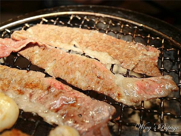 IMG_1432.jpg IMG_1432.jpg