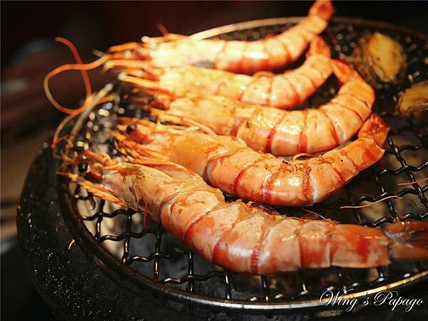 IMG_1446.jpg IMG_1446.jpg