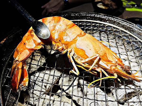 IMG_2957.JPG IMG_2957.JPG