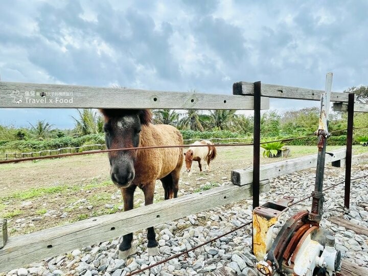 遠眺美麗海景，依傍翠綠高山，一週營業三個半天的美式復古車廂，台東都蘭咖啡車廂 @魚兒 x 牽手明太子的「視」界旅行