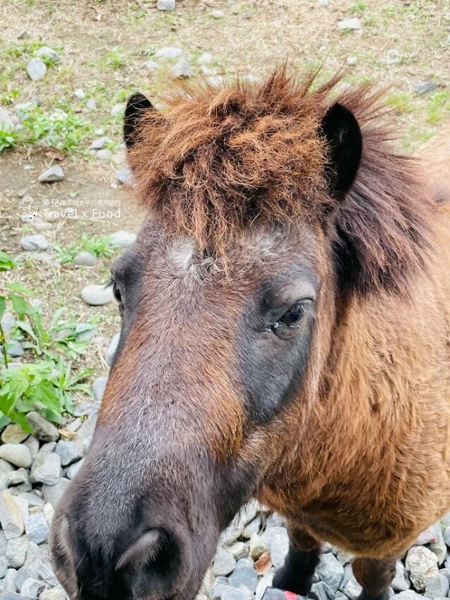 遠眺美麗海景，依傍翠綠高山，一週營業三個半天的美式復古車廂，台東都蘭咖啡車廂 @魚兒 x 牽手明太子的「視」界旅行