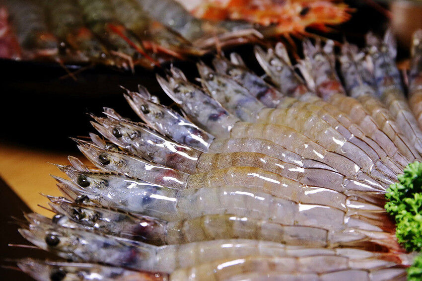 永和火鍋｜火鍋控必收藏！樂野鍋物，CP值超高的海陸雙人套餐超