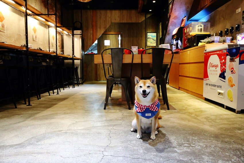 永和火鍋｜火鍋控必收藏！樂野鍋物，CP值超高的海陸雙人套餐超