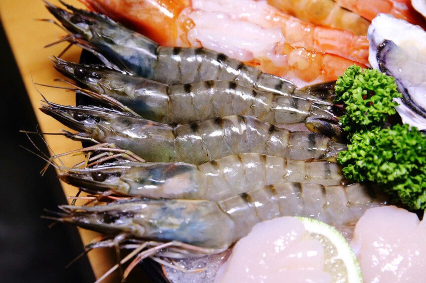 永和火鍋｜火鍋控必收藏！樂野鍋物，CP值超高的海陸雙人套餐超