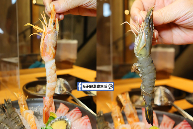 永和 樂野鍋物.永和火鍋推薦.牛奶鍋必吃.海陸雙人餐只要$799CP值高