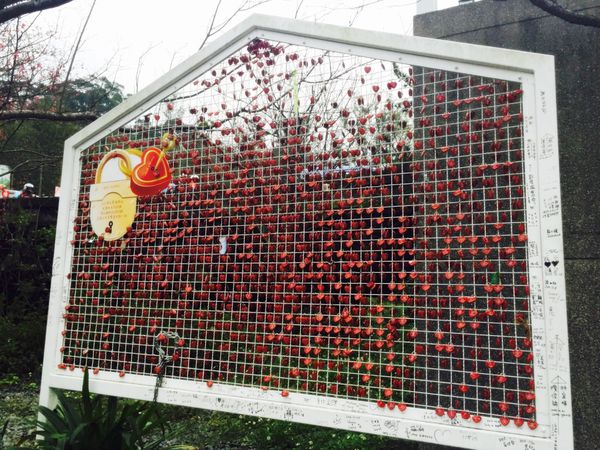 IMG_20160220_223153_571