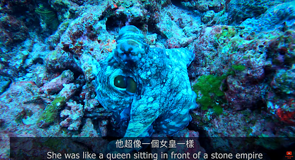 Screen Shot 2021-05-06 at 6.06.39 PM Screen Shot 2021-05-06 at 6.06.39 PM