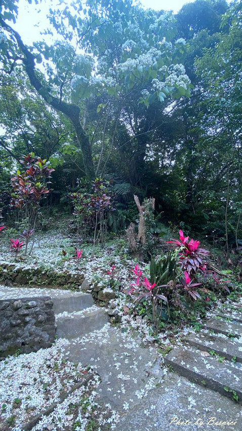 0502 1-福興宮12.jpg