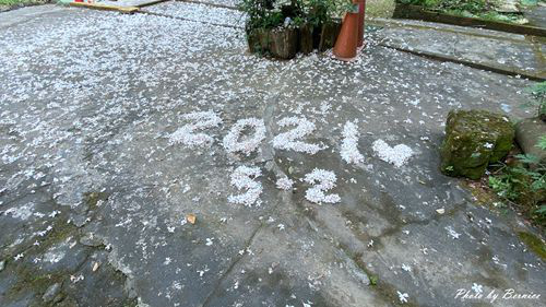 0502 1-福興宮01.jpg