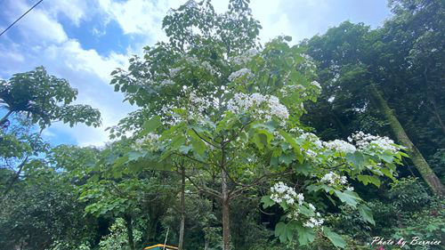 0502 1-福興宮04.jpg