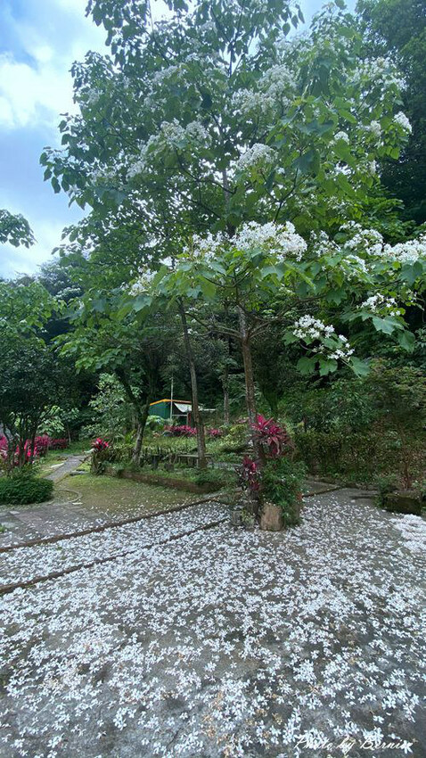 0502 1-福興宮02.jpg