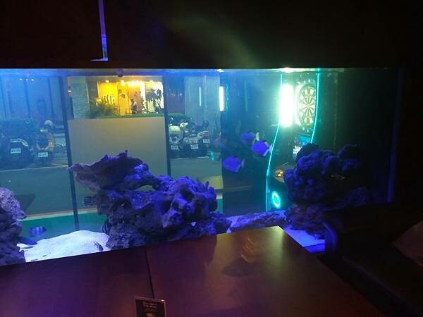 台北美食推薦-【AQUA Lounge酒吧】-串燒創意美食/ 台北美食推薦-【AQUA Lounge酒吧】-串燒創意美食/